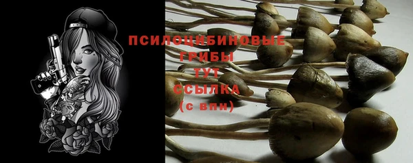 спайс Новодвинск