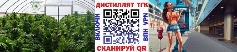 Дистиллят ТГК вейп с тгк Красноармейск