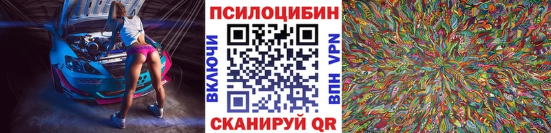 OMG как войти  Красноармейск  Псилоцибиновые грибы прущие грибы 