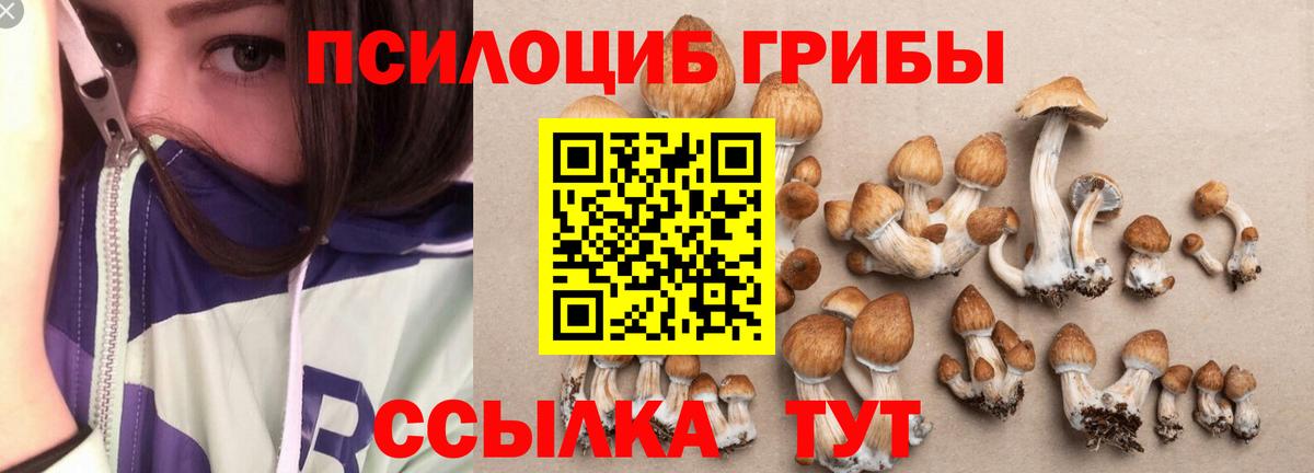 Галлюциногенные грибы MAGIC MUSHROOMS  Псилоцибиновые грибы Psilocybe  Вход с VPN  Красноармейск 
